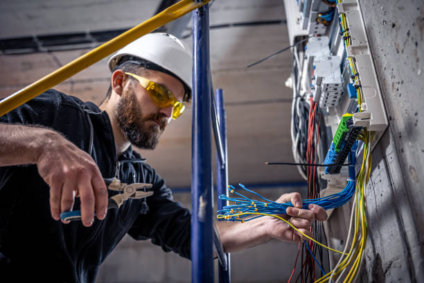 Best Electric Panel Repair  in Standish, MI